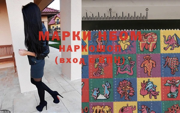 молекула духа Аркадак