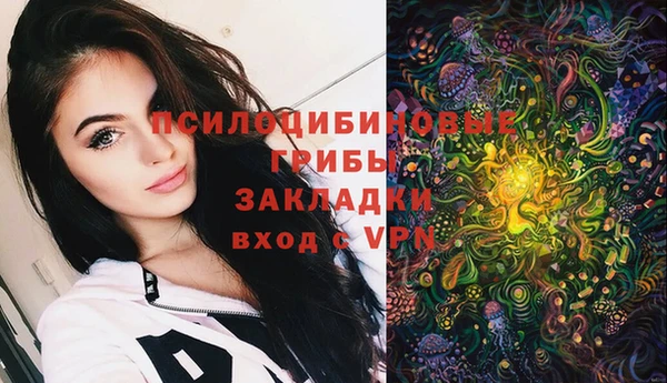 МДПВ Остров