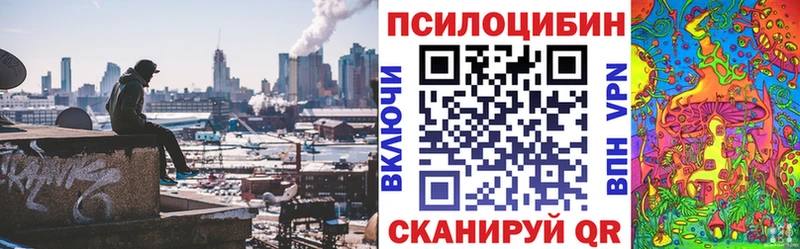 Псилоцибиновые грибы Magic Shrooms  купить   Оса 
