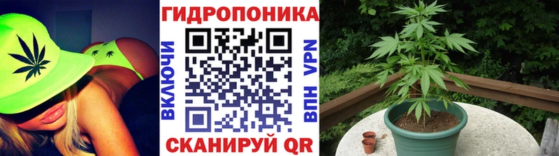 kraken сайт  Оса  Шишки марихуана тримм 